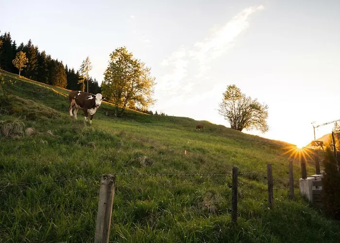 펜션 Steinberghaus